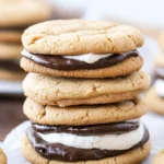 Peanut Butter S'mores Cookies